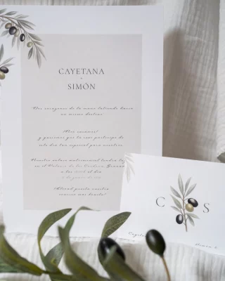 Instagram post from amordemielestudio. This post is in position 5.