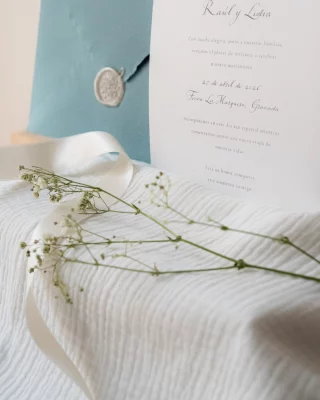 Instagram post from amordemielestudio. This post is in position 1.