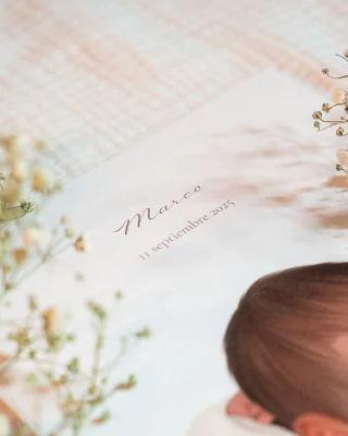 Instagram post from amordemielestudio. This post is in position 1.