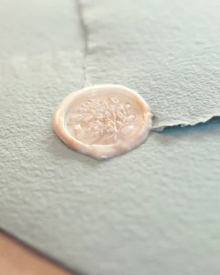 Instagram post from amordemielestudio. This post is in position 1.